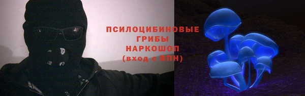 тгк Аркадак