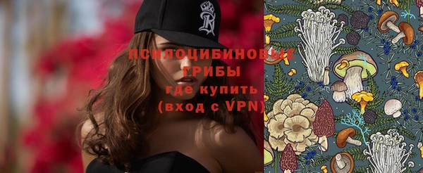 тгк Аркадак