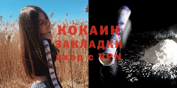 тгк Аркадак