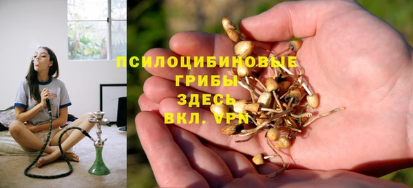 тгк Аркадак