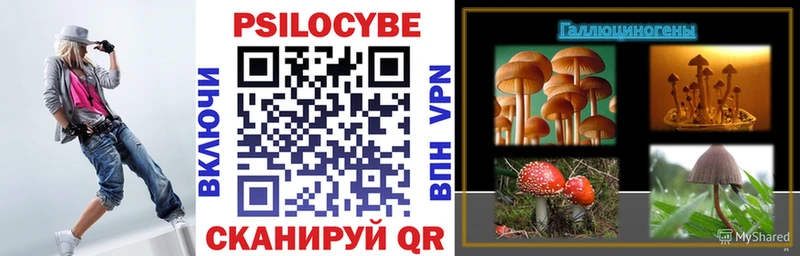 что такое наркотик  Суворов  Псилоцибиновые грибы Magic Shrooms 